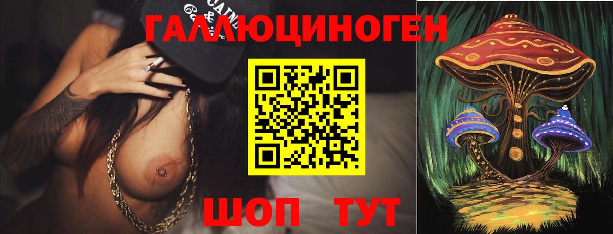 Галлюциногенные грибы Magic Shrooms Новозыбков