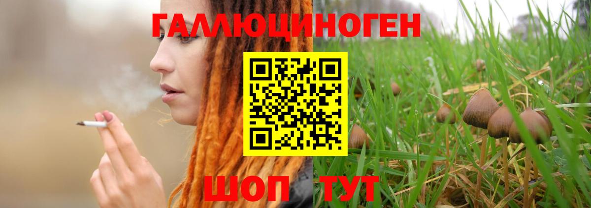 Alpha-PVP Новозыбков