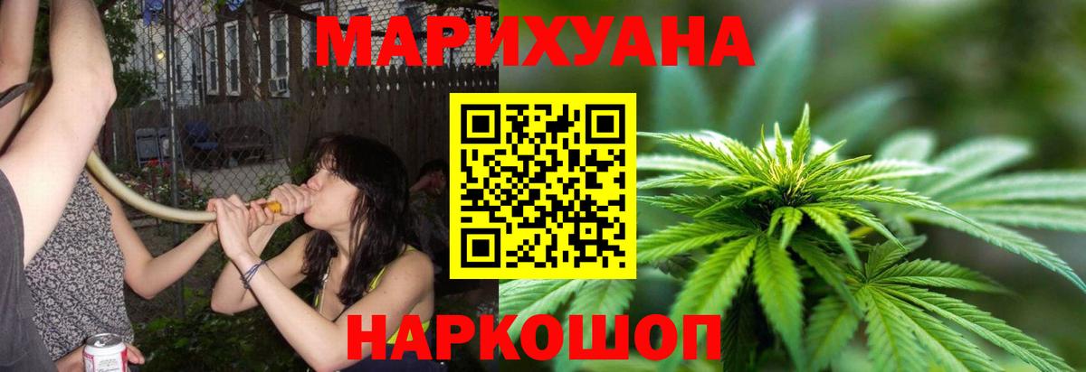 Канабис семена  Каннабис SATIVA & INDICA  Шишки марихуана планчик  Вход с VPN  Новозыбков 
